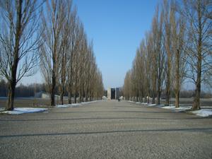 Between the rows of buildings, was this very pretty tree lined street.