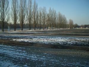 On each side of the tree lined street were the buildings housing the prisoners.  The foundations are still visible even though the buildings are long gone.