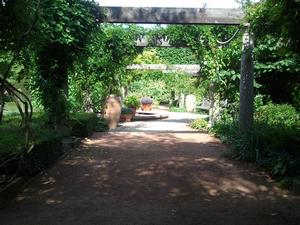 Lots of tree lined walkways...