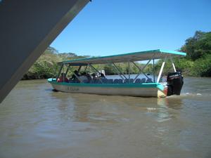 The jungle river boat cruise was fun as we were able to see many interesting animals.