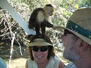Here is Dee Dee with one of the howler monkeys sitting on her head!  Jeff is in the foreground looking on in amazement.