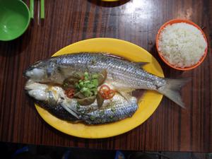 Yum! Yum! Doesn't this fish look enticing.  Actually, it was really good!