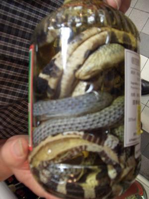 Oh my!  Are those snakes in that bottle of wine?