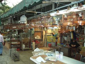 This is the famous Hong Kong bird market.  If there is any type of bird you are looking for, this is the place to come.