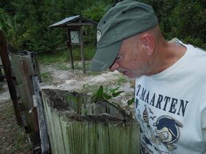 This is the second geocache hunt of the day.  Is it inside this rotted out fence post?  Nope, nothing inside.  Let's see, where else should we look?