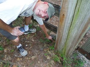 I think it's a geocache!
