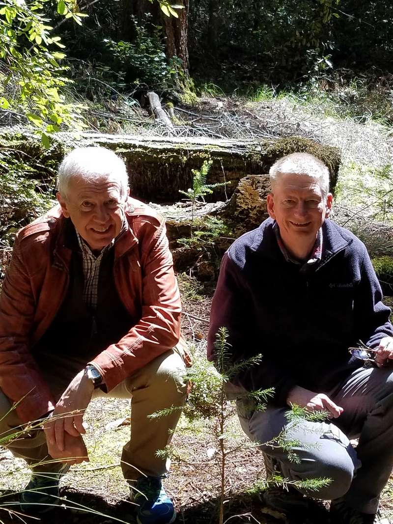 Peter (left) and Charles admiring a redwood tree seedling in Big Basin State Park.