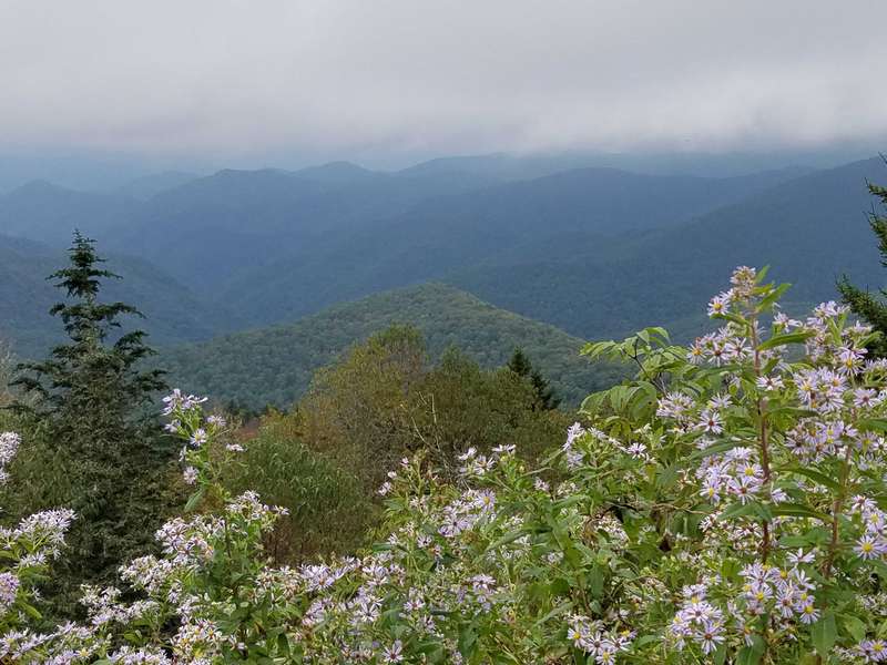 The Blue Ridge Mountains in the Smoky Mountain National Park.  What a beautiful sight.