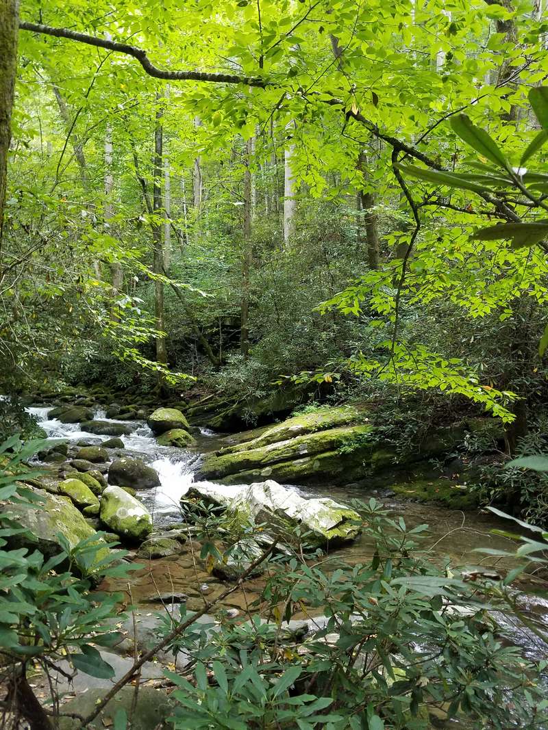 This steam in Cade's Cove in the Smoky Mountain National Park fed a gristmill used to grind corn, wheat and other cereal grains.