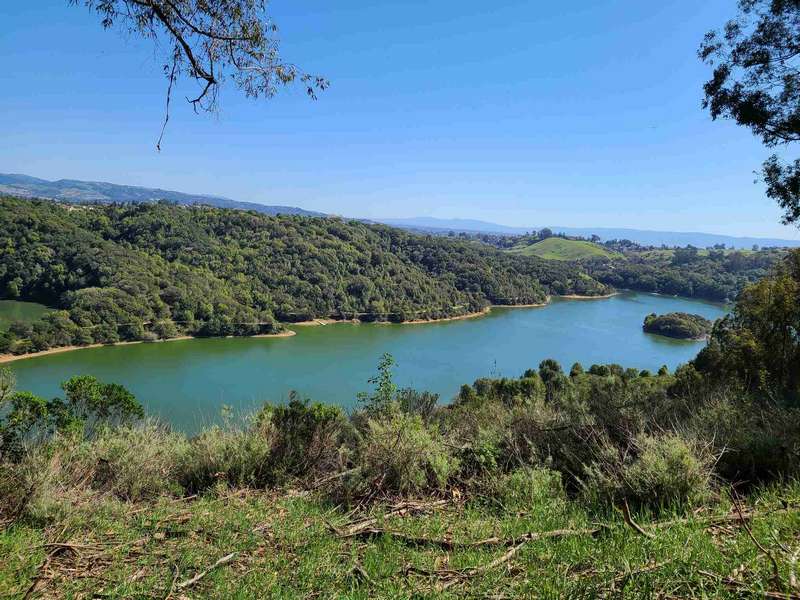 On a trail overlooking Lake Chabot 