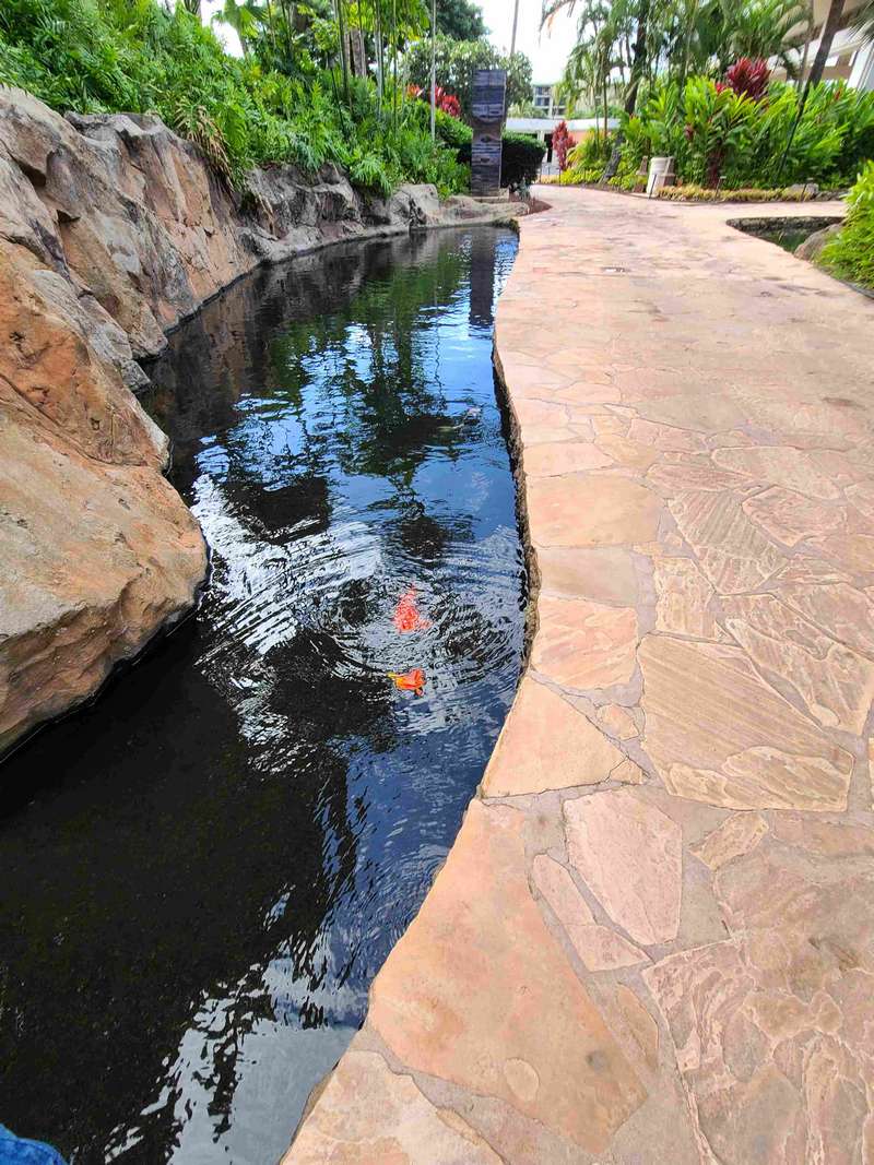 Walkway along a pond with Koi fish at the Grand Wailea Resort