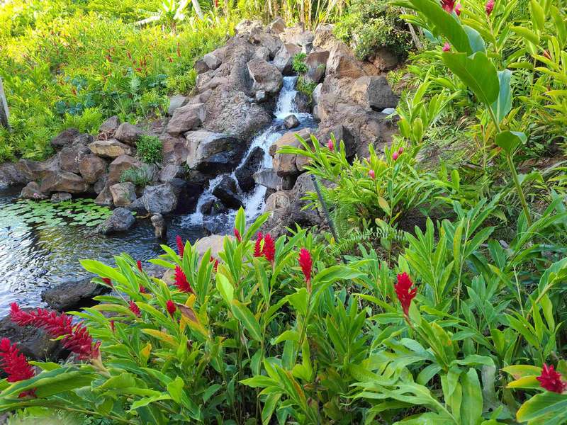 Waterfall at the Grand Wailea Resort