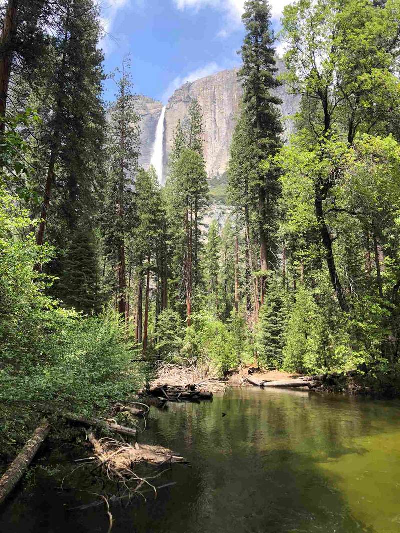 Yosemite National Park