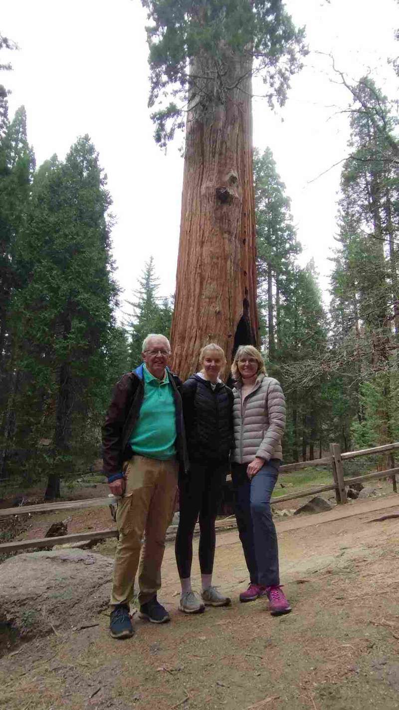 Peter, Benita and Beatrix in front of a large redwood tree.