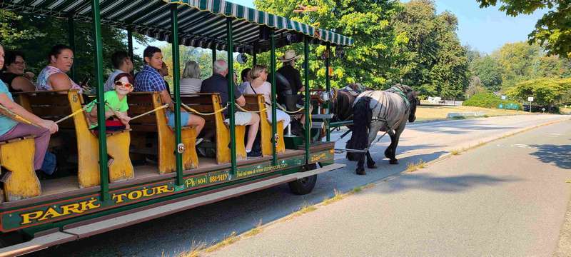 A horse drawn carriage in Stanley Park