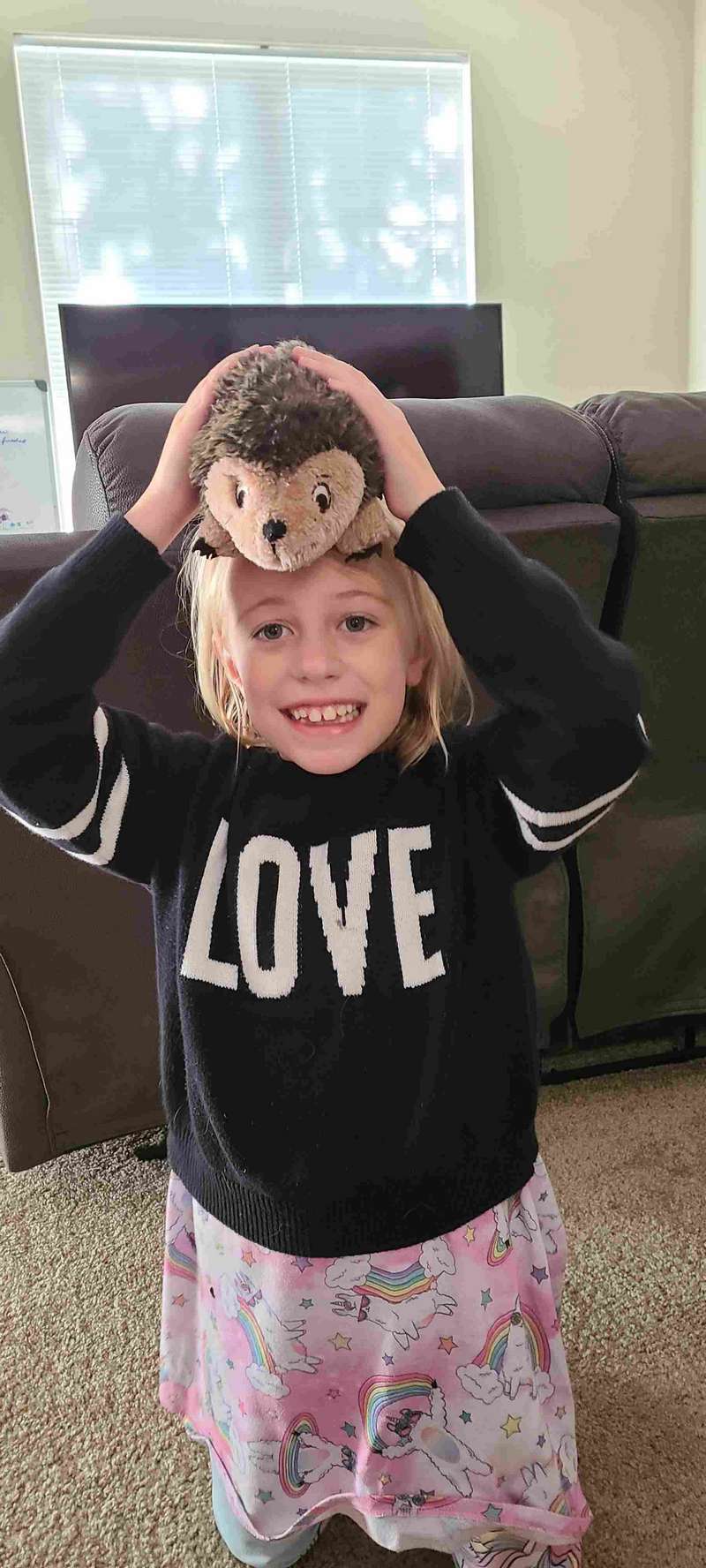 Helena's favorite stuffed animal is Alice, a hedgehog which she is holding on her head.  Earlier this year, Helena played the part of a hedgehog in "Alice in Wonderland" a show put on by her ballet class.  Grandma Helen bought this for her and Helena has really latched onto it.
