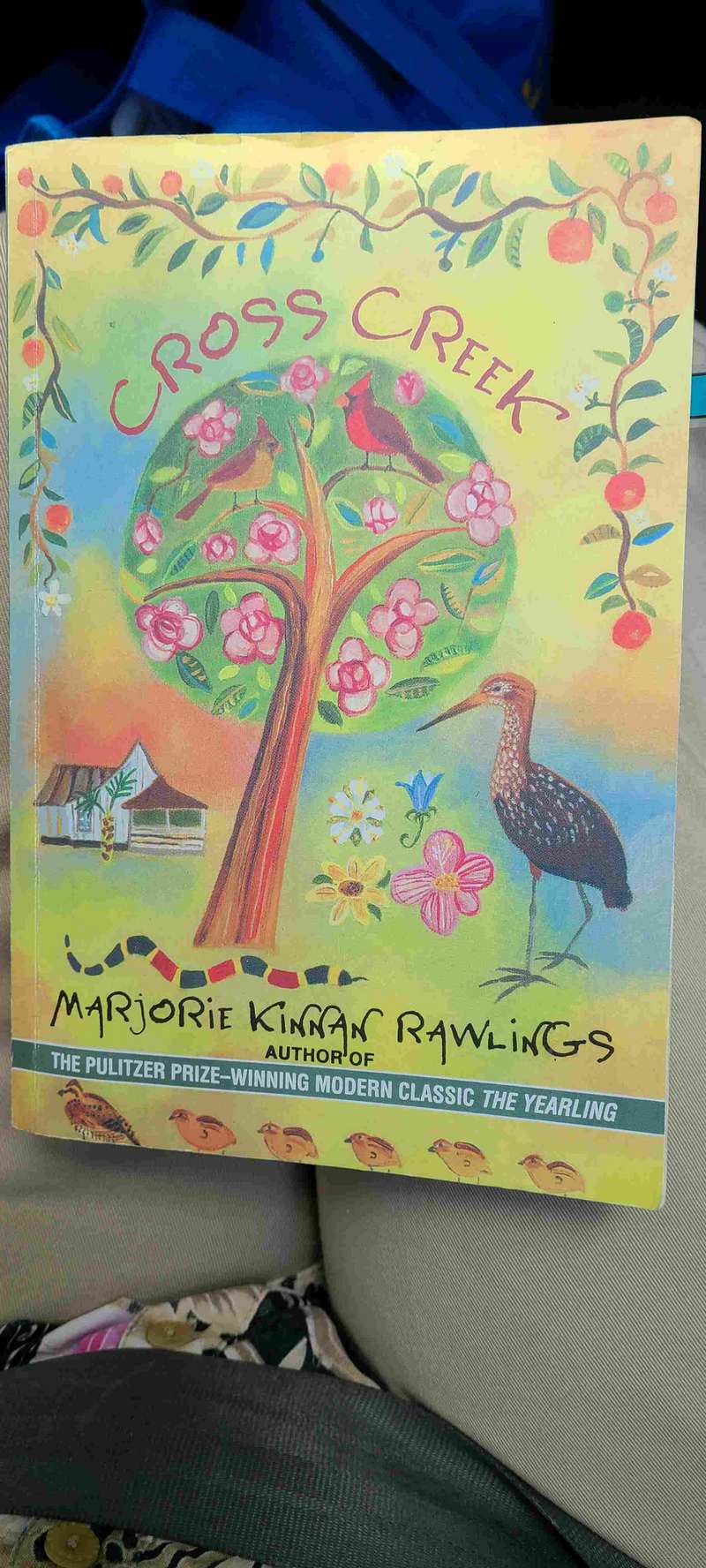Marjorie Kinnan Rawlings is a Gainesville author that has become famous.  One of her books Robert suggested we read is "Cross Creek" which is about the Gainesville and Cross Creek areas.