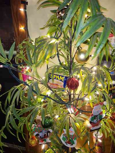 A true island holiday: What Hawaiian Christmas tree is complete without a can of Spam?
