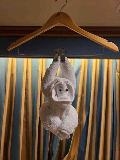 Joemar's playful towel monkey swinging from the stateroom ceiling tracks.