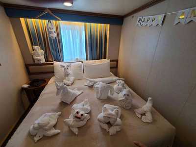 The final 14-piece towel animal menagerie taking over the stateroom!