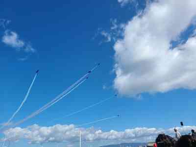 The Canadian Snowbirds.
