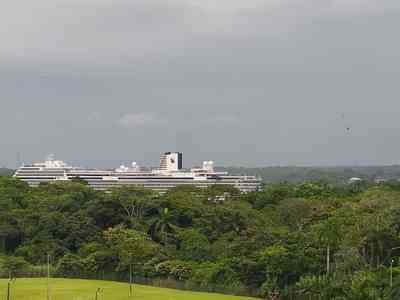 An optical illusion making it look like a ship is sailing through the trees!