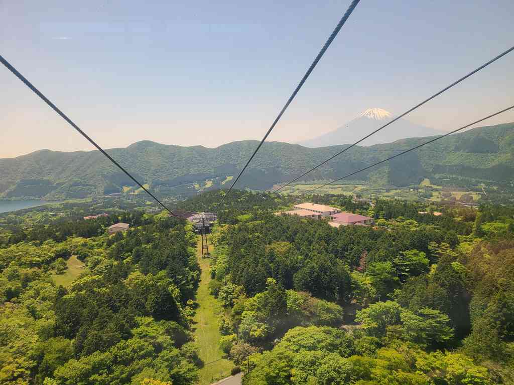 Aerial view from the ropeway cabin.