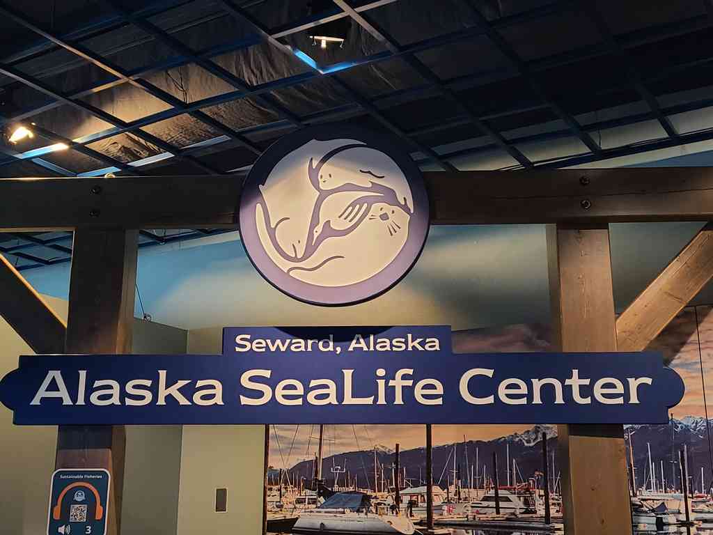 We spent a wonderful afternoon exploring the Alaska SeaLife Center before returning to the ship.